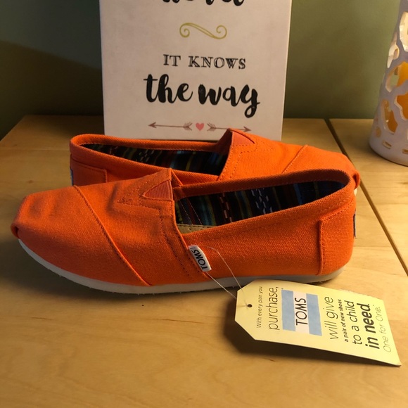 TOMS - Picture 5 of 7